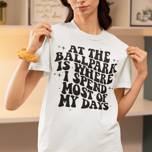 At The Ballpark is where I spend most of my days T shirt